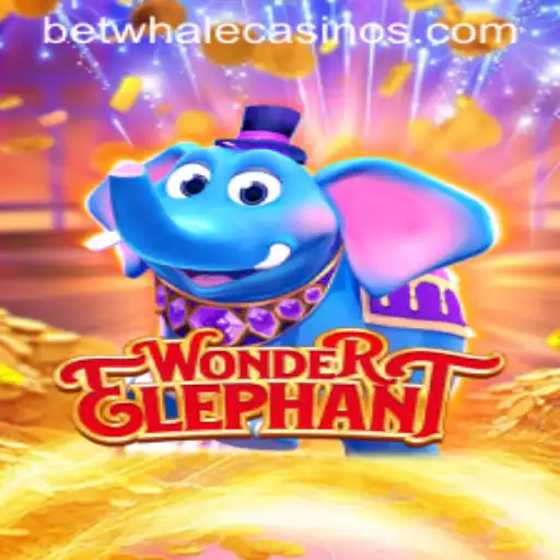Exploring WonderElephant: The New Entrant in the BetWhale Universe